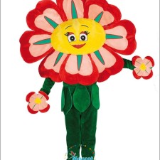 Famous Events and Occasions Featuring Raccoon Mascot Costumes 