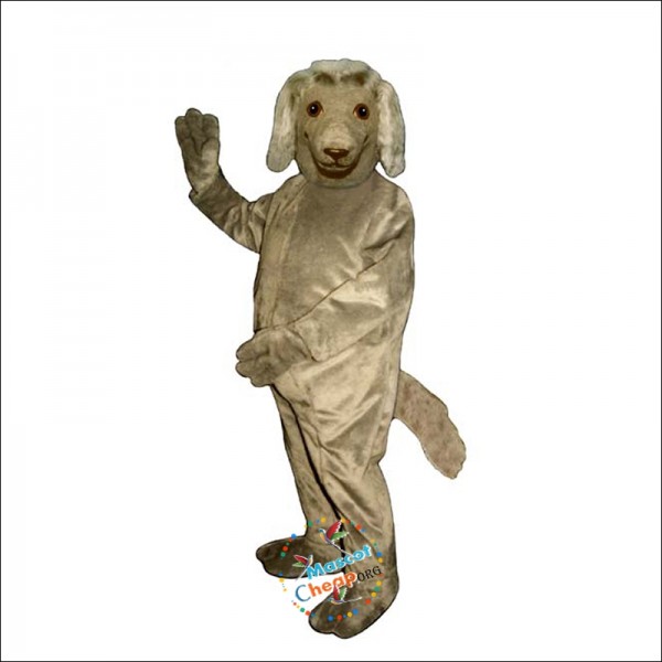 Afghan Mascot Costume