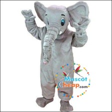 Interview with a Falcon Mascot Performer: Insights into the Role 