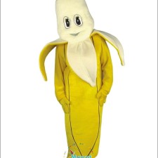 Success Stories: Brands That Excel with Insect Mascot Costumes 