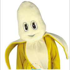 Affordable Mascot Costumes: Great for Family Reunions 