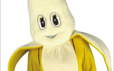 Affordable Mascot Costumes: Great for Family Reunions 