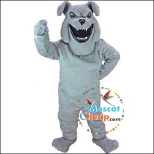 Cost-Effective Squirrel Mascot Costumes for Any Event or Party 