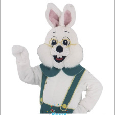 Winging It on a Budget: The Ultimate Cheap Bird Mascot Costume Guide 