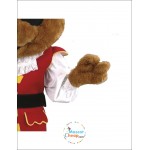 Pirate Cute Bear Mascot Costume