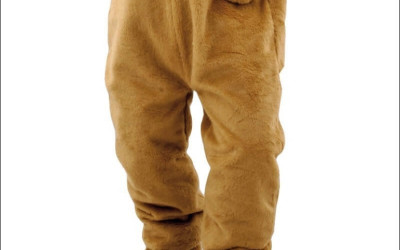 Virtual Reality: Bear Mascot Costume Experiences in the Digital Age 