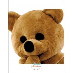 Simple Bear Mascot Costume