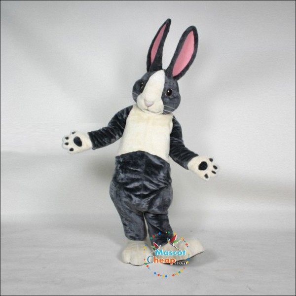 Bernie Rabbit Mascot Costume