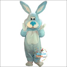 How to Choose Cheap School Mascot Costumes Wisely 