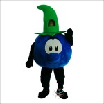 Blueberries, Mr. Cartoon Mascot Costume