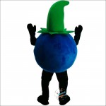 Blueberries, Mr. Cartoon Mascot Costume