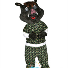 How Schools Can Use Wolf Mascot Costumes to Increase Enrollment 