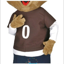 DIY Vegetable Mascot Costumes: Affordable Family Fun 