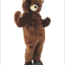 From Pageant to Picnic: Creative Ways to Utilize Raccoon Mascot Costumes 