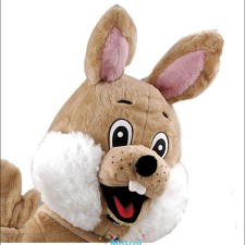 From Antlers to Hooves: Crafting the Ultimate Reindeer Mascot Look 