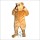 Bruce Bear Mascot Costume