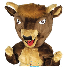 Customer Reviews: The Best and Worst Cheap Tiger Mascot Costumes 