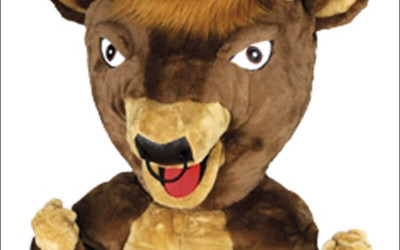 Customer Reviews: The Best and Worst Cheap Tiger Mascot Costumes