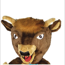 Holiday Mascot Costume Design: What Makes It Perfect 