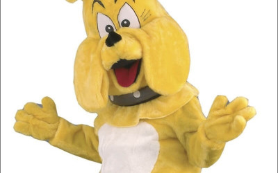 Inexpensive Dragon Mascot Costumes: Styles and Prices Compared