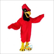 Challenges in Crafting Bird Mascot Costumes 