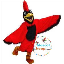 Hive Hustle: Hunting Down the Cheapest Hornet Mascot Costumes Online 