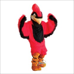 Cardinal Mascot Costume