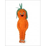 Lovely Carrot Mascot Costume