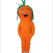 Seasonal Variations: How to Modify Your Peacock Mascot Costume for Different Occasions 