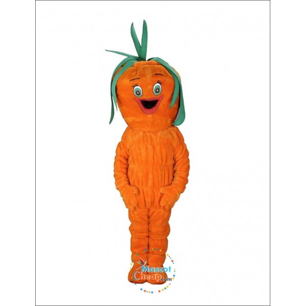 Lovely Carrot Mascot Costume