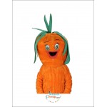 Lovely Carrot Mascot Costume