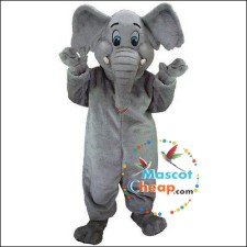 Affordable Mascot Costumes for Schools and Colleges 