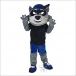 Cartoon Raccoon Mascot Costume
