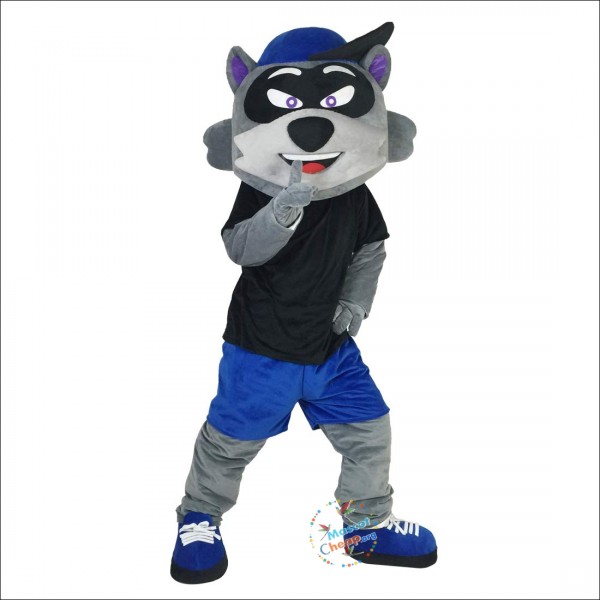 Cartoon Raccoon Mascot Costume