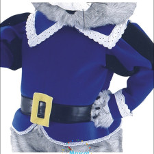 Personalization Trends in Custom Mascot Costumes 