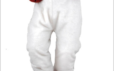 Exotic Animal Extravaganza: Themes & Ideas for Mascot Costumes 