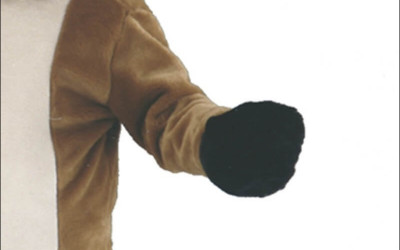 How to Train Your Dog to Wear a Mascot Costume 