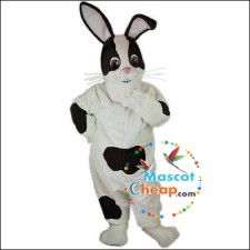 Mascot Retirement: How to Give Your Costume a Farewell It Deserves 