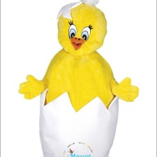 Interview with a Professional Elephant Mascot Performer 