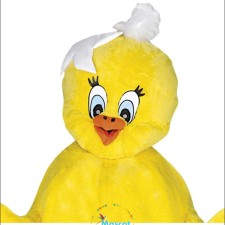 Interview with a Professional Mascot: Insights into Wearing a Pig Costume 