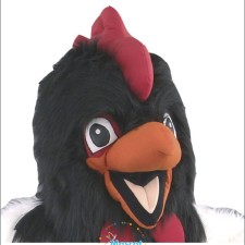 Seasonal Variations: Winter vs Summer Frog Mascot Costumes 