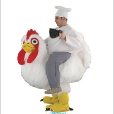 A Guide to Choosing the Right Material for Animal Mascot Costumes 