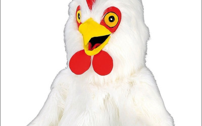Character Mascot Costumes in Education: Engaging Students through Fun Characters