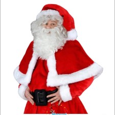 Behind the Mask: A Day in the Life of a Wolf Mascot 