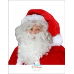 Christmas Mascot Costume Professional