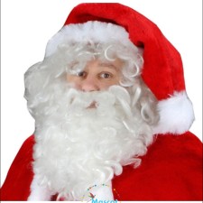 Cheap Wolf Mascot Costumes: Perfect for College Events 