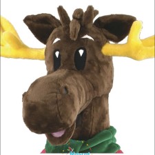 Seasonal Selections: Best Butterfly Mascot Costumes for Every Occasion 