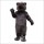 Cocomo Bear Mascot Costume