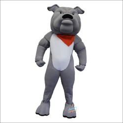 College Bulldog Mascot Costume