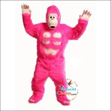 Fun Activities to Do While Wearing Your Cheap Tiger Mascot Costume 